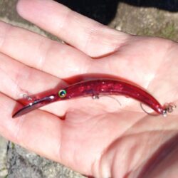 サクラマスを釣りに行ったんだが ～平谷湖フィッシングスポット～